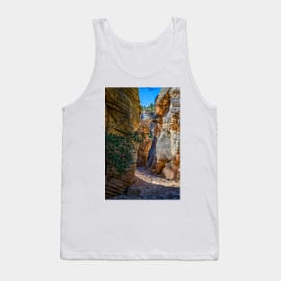 Lick Wash Trail Hike Tank Top